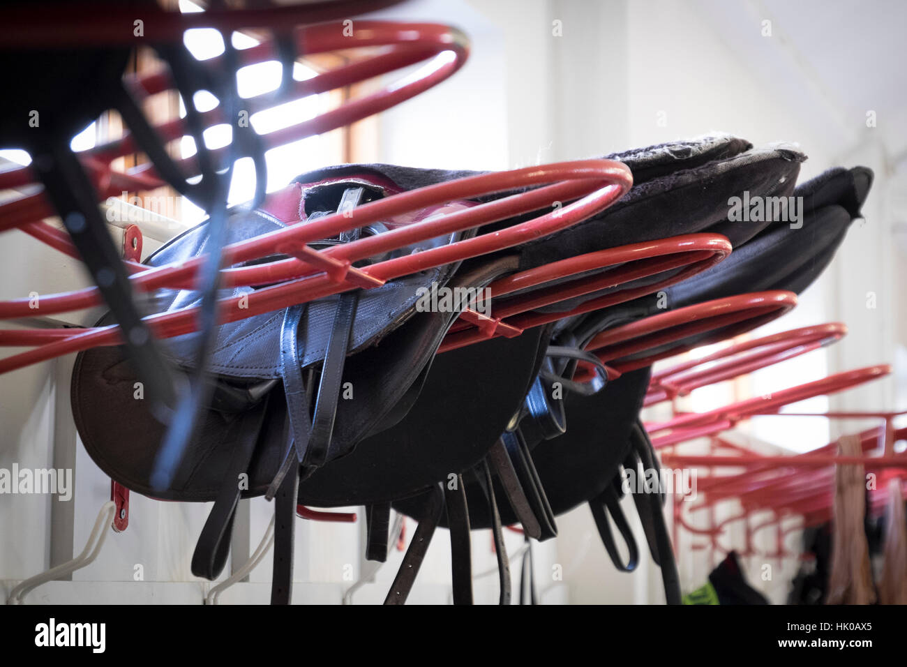 Saddles in the jockey's weighing in room Stock Photo