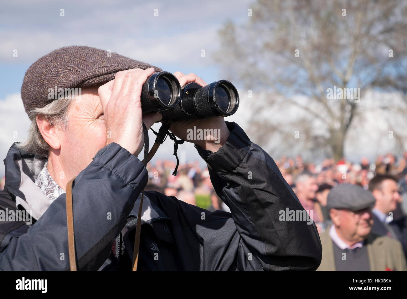 Man watching horse race through binoculars Stock Photo Alamy