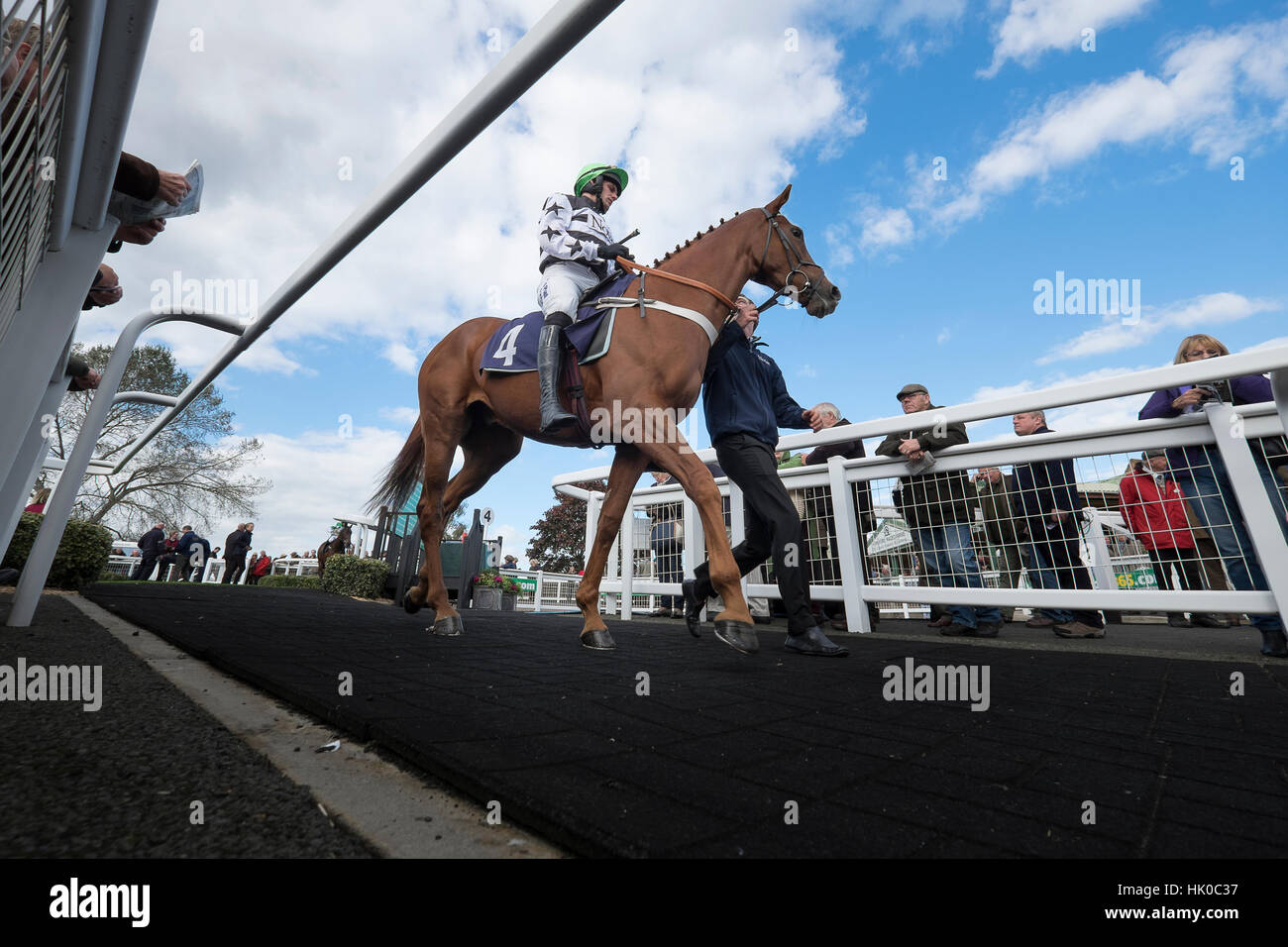 Race horse and rider, low angle Stock Photo