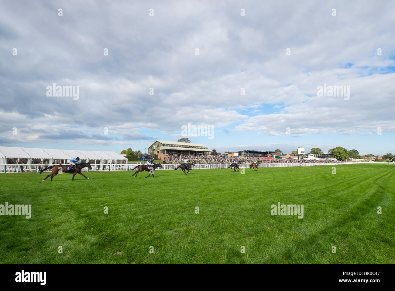Horse racing at Hereford racecourse - wide angle Stock Photo