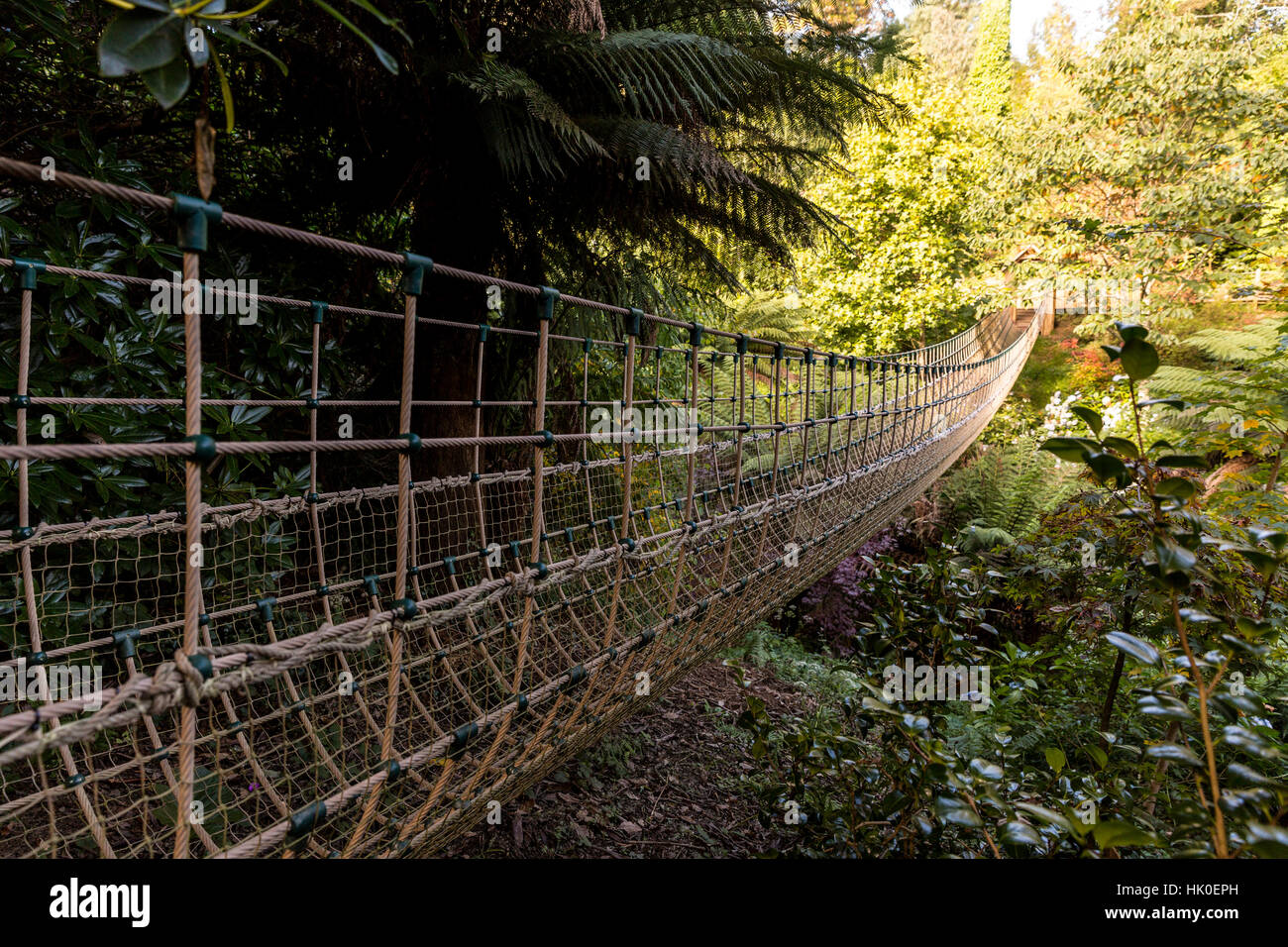 The Burmese Rope Bridge, the jungle. The Lost Gardens of Heligans, St
