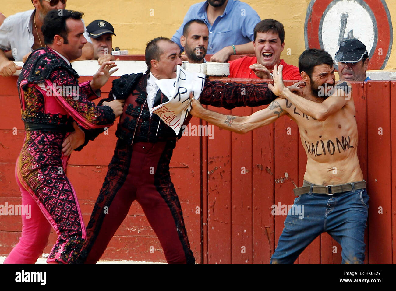 A men anti-bullfighting spontaneous invading the bullring in Marbella, August 9, 2015. Stock Photo
