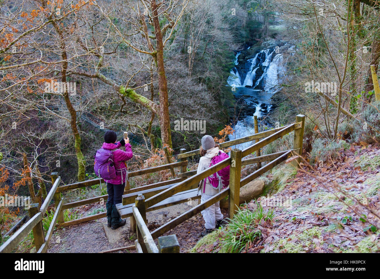 Hikers with an smartphone photographing Swallow Falls on Afon Llugwy River in Snowdonia from viewpoint on northern side. Betws-y-Coed Conwy Wales UK Stock Photo
