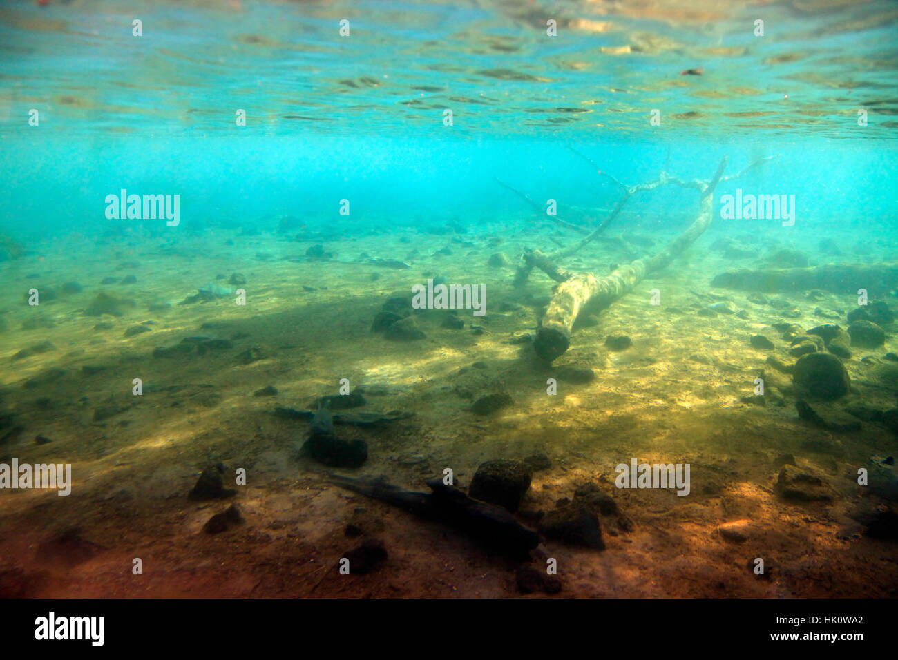 snag on the bottom under water Stock Photo Alamy