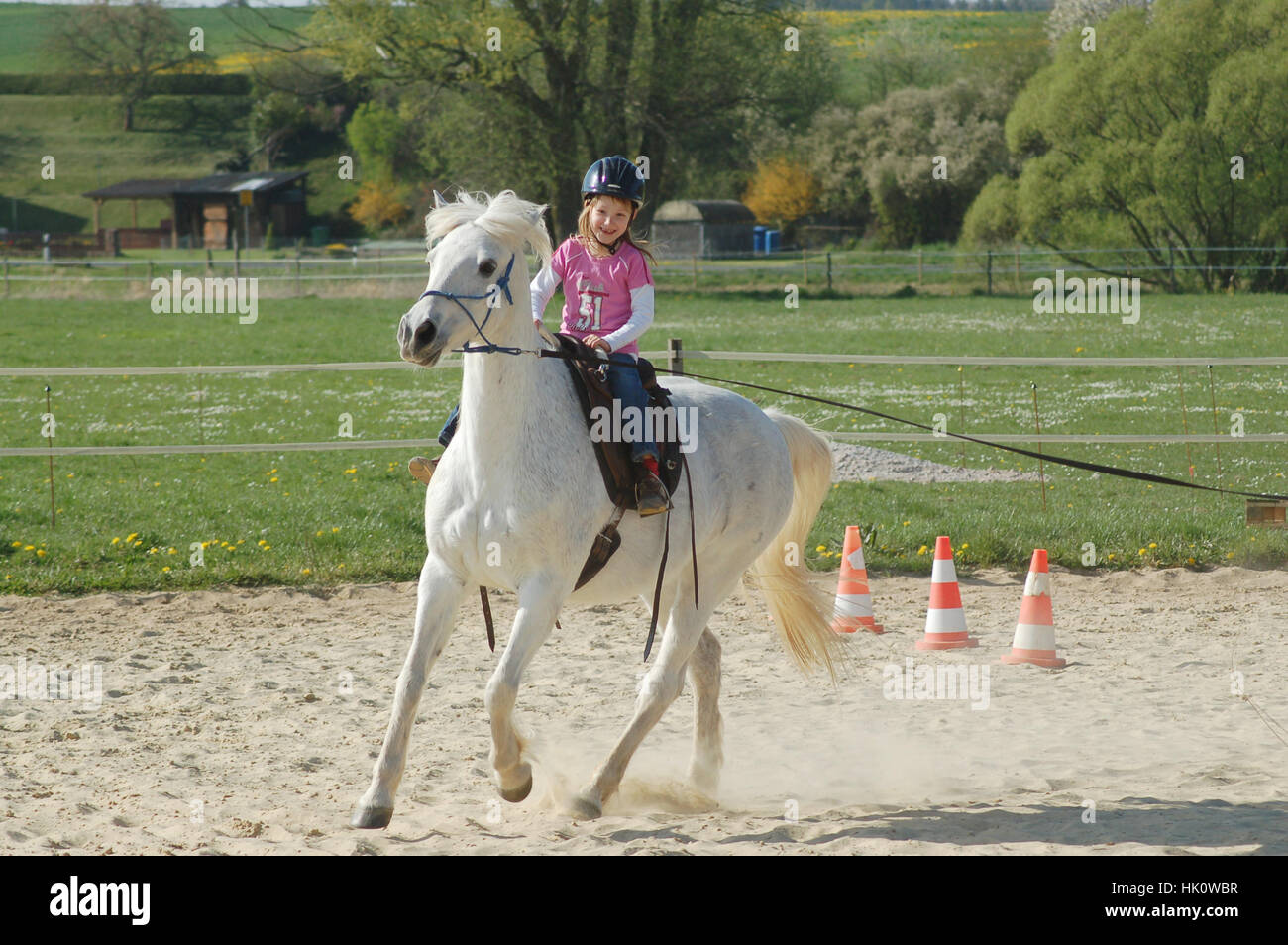 ride, horse, horns, child, blond, horseriding, girl, girls, ride, horse, Stock Photo