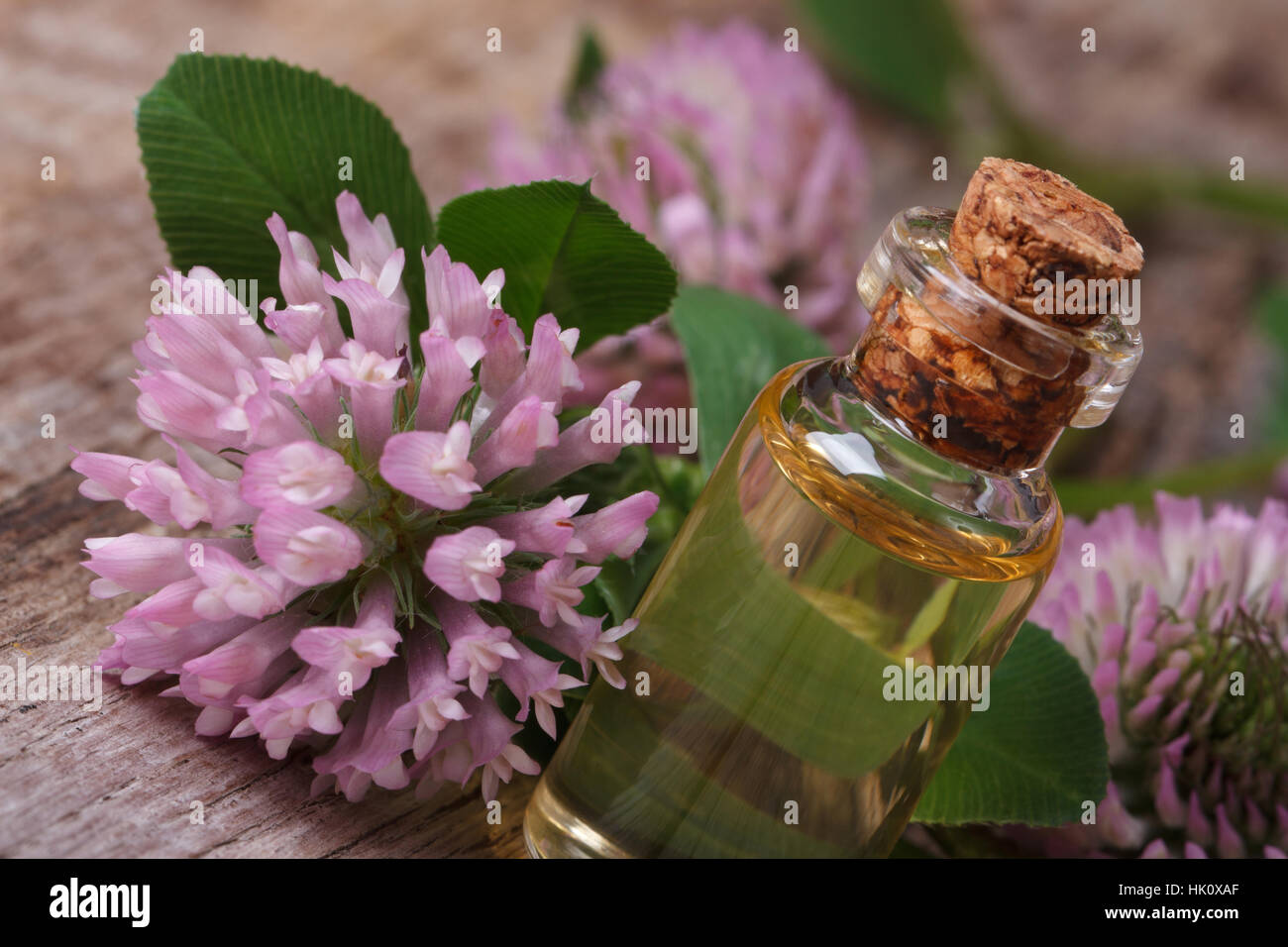 a remedy of clover in a bottle on the table and flowers macro horizontal Stock Photo