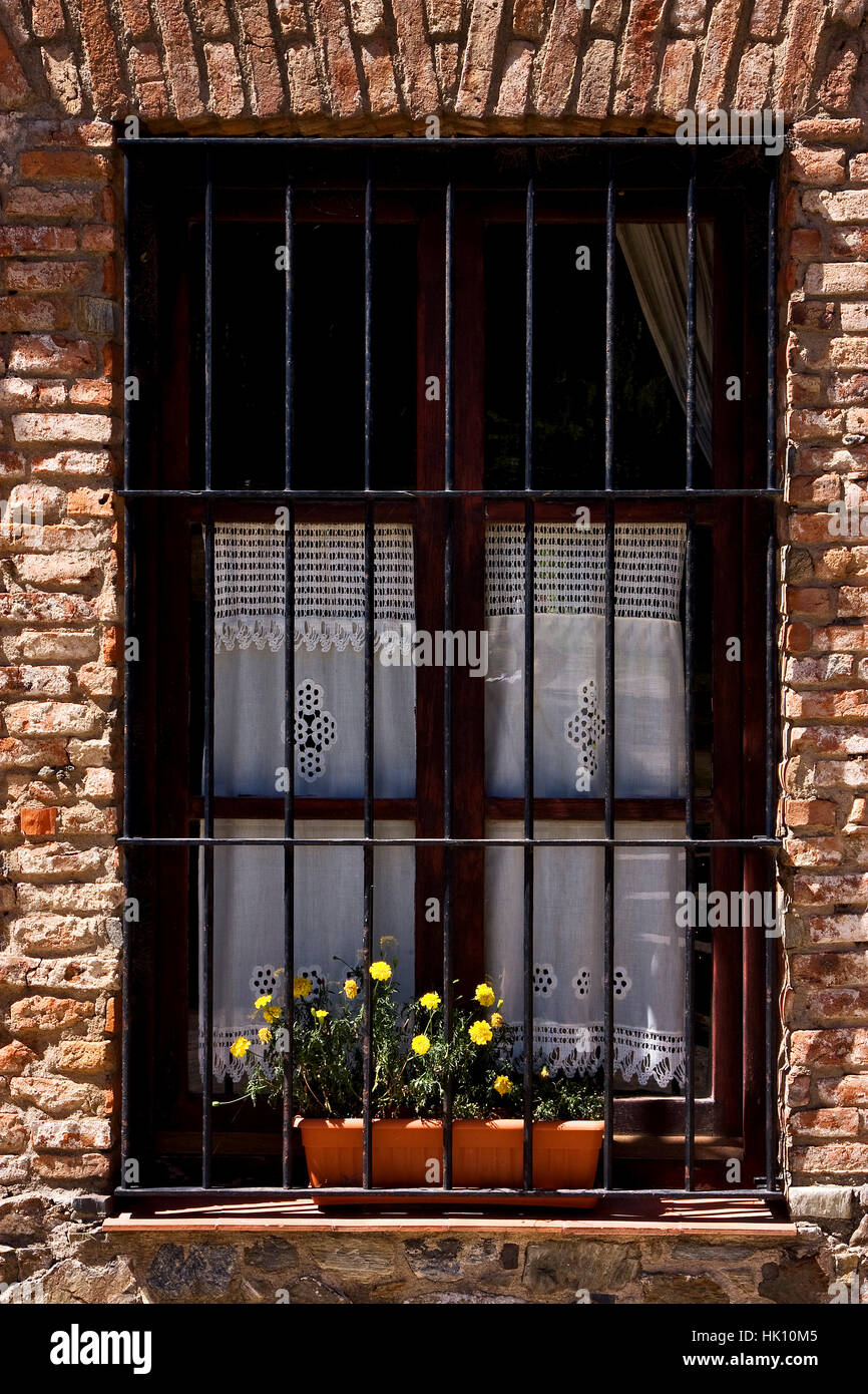 close, glass, chalice, tumbler, colour, stone, flower, plant, window ...