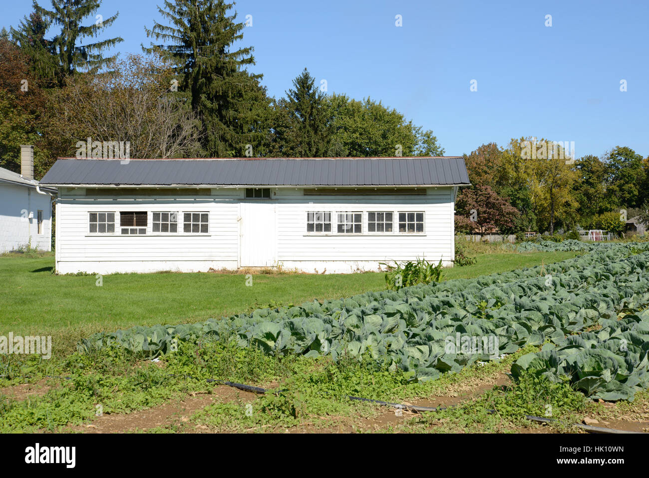 an old white farm building by a garden Stock Photo