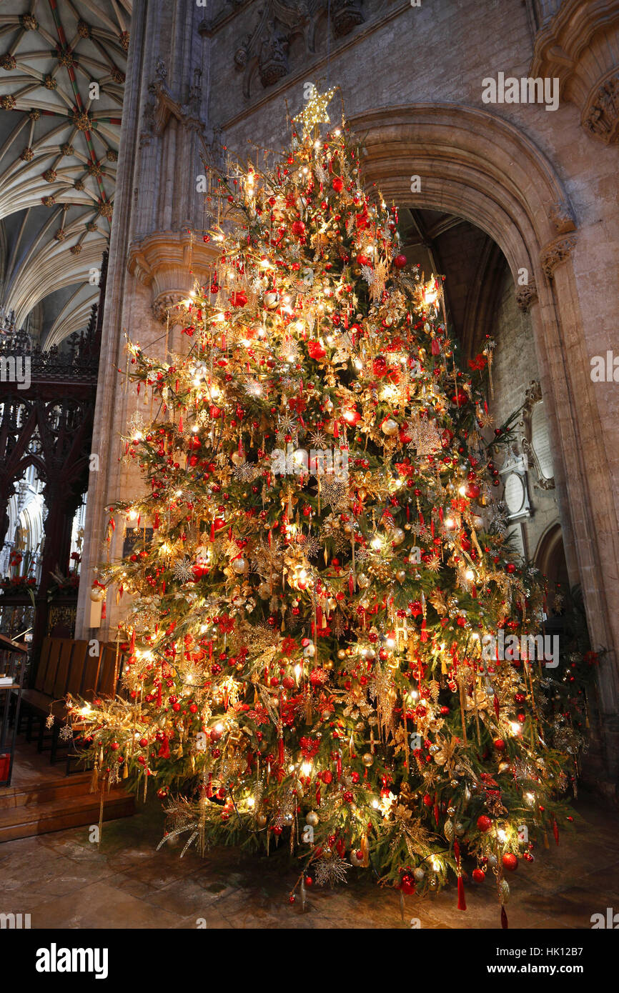 Christmas tree in Ely Cathedral, UK Stock Photo Alamy