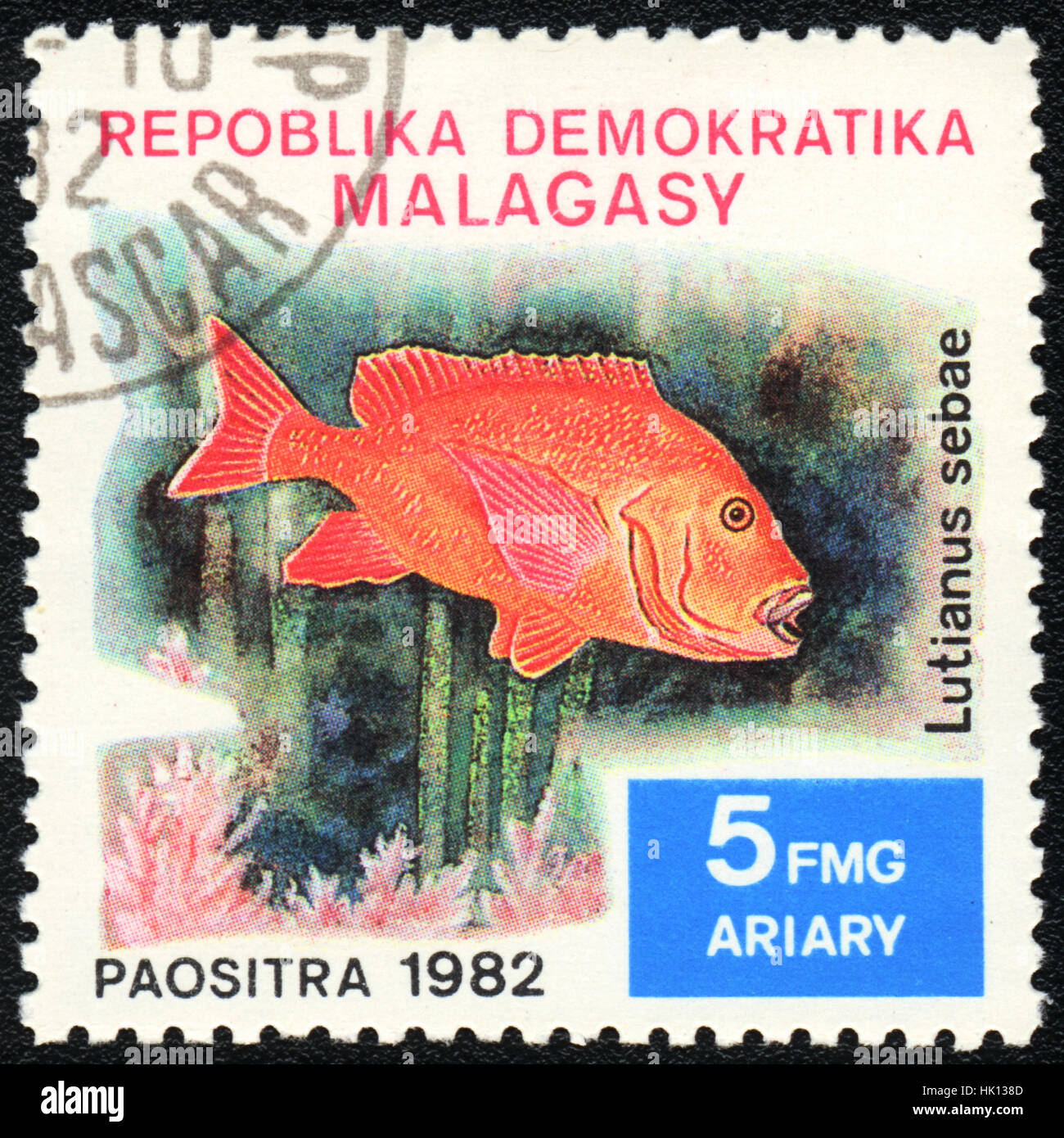 A postage  stamp printed in Republic Malagasy shows a  Fish  Lutjanus sebae,  series, circa 1982 Stock Photo