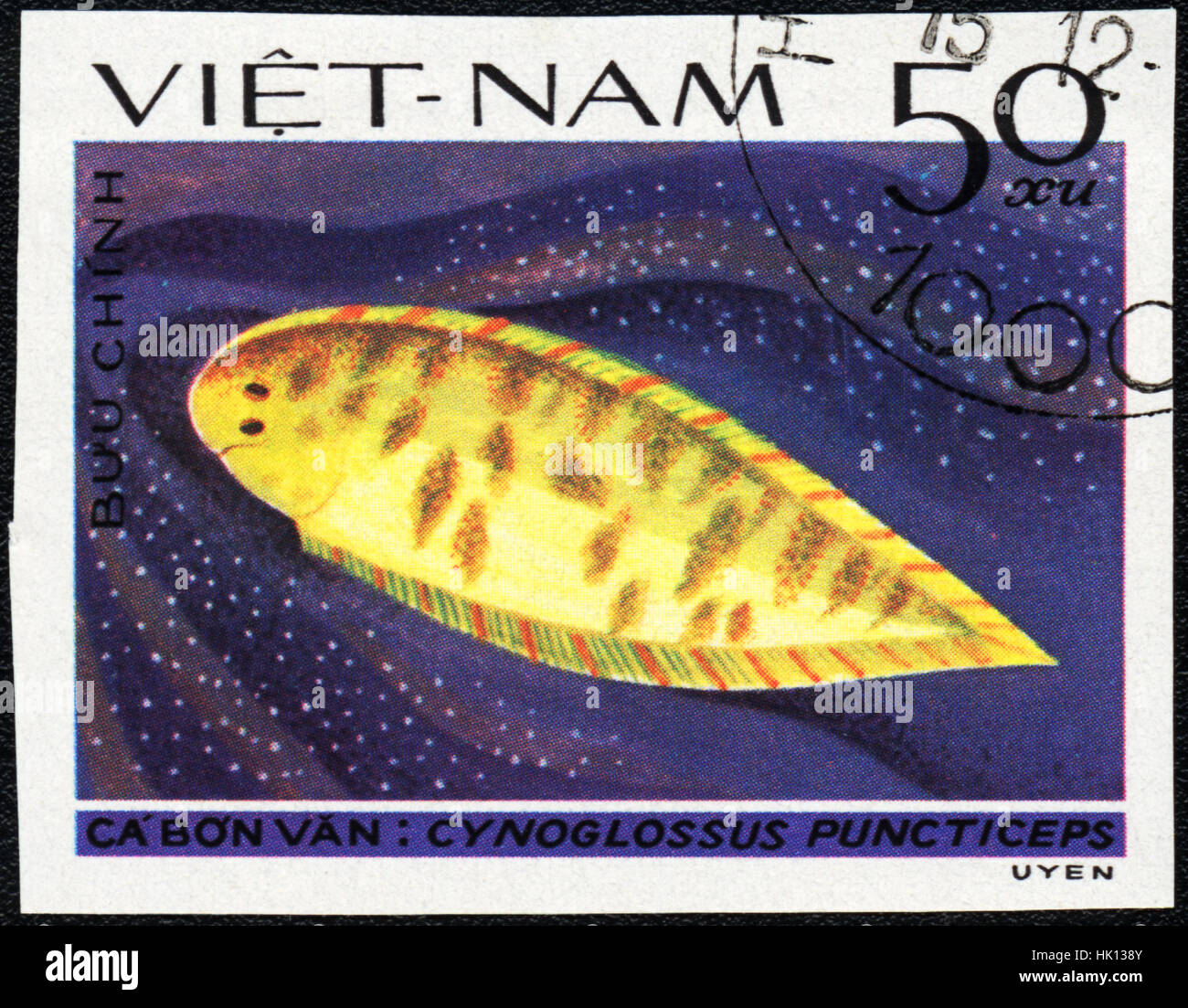 A postage stamp printed in VIETNAM shows a Fish Cynoglossus puncticeps,  series 'Flatfish', circa 1982 Stock Photo