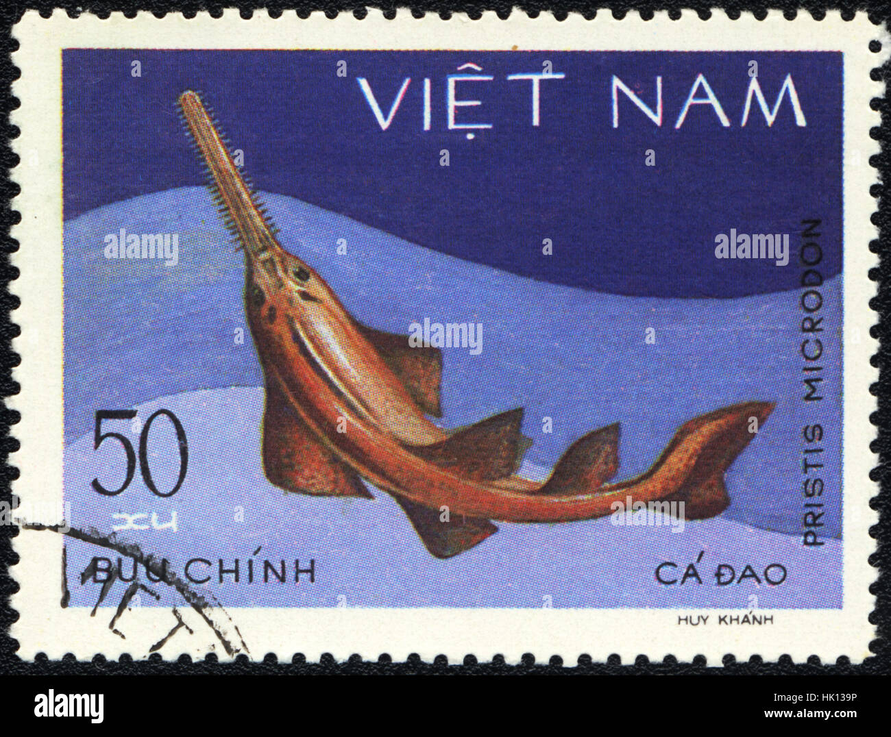 A postage stamp printed in VIETNAM shows a Fish  Pristis microdon,  series , circa 1980 Stock Photo