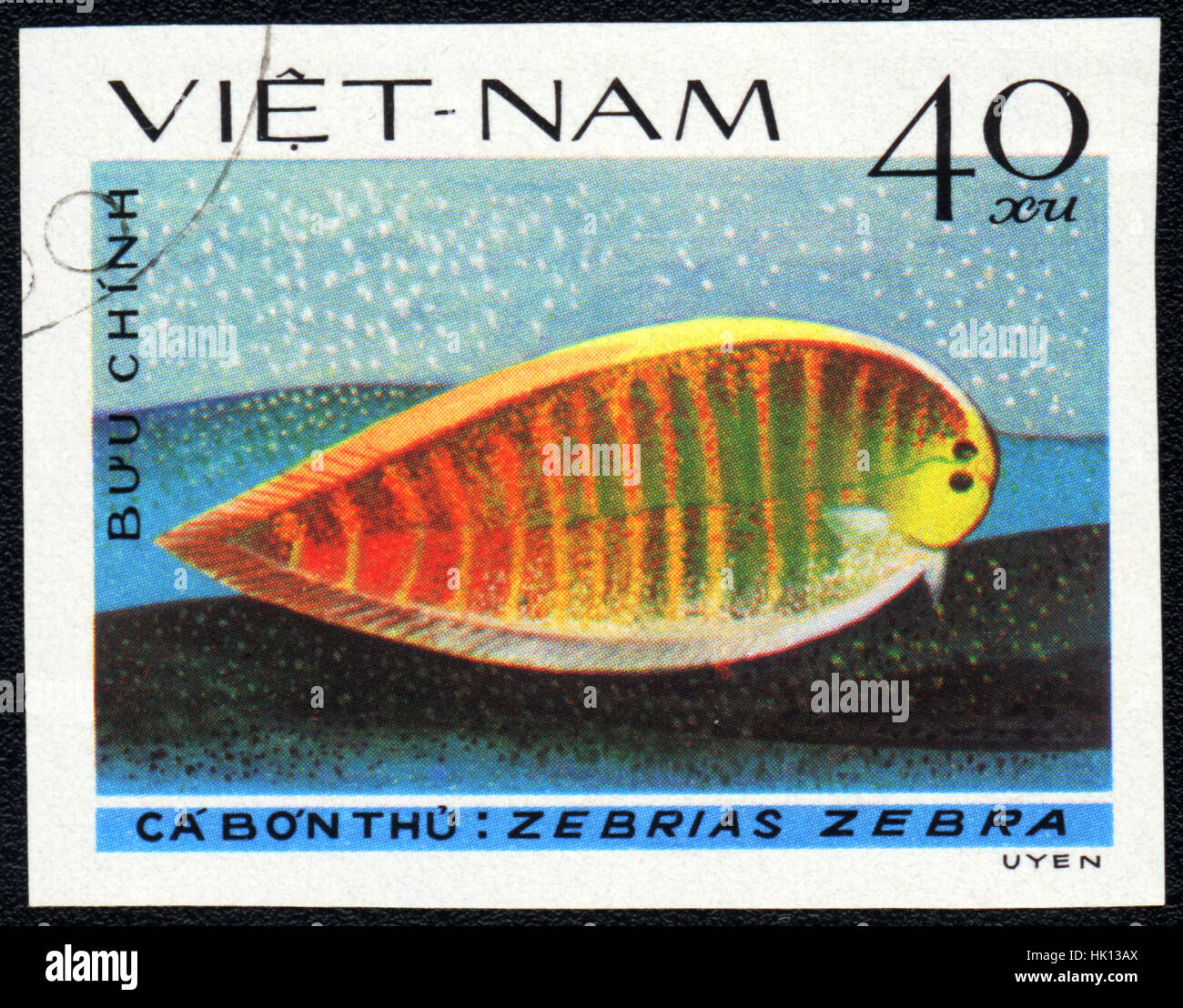 A postage stamp printed in Vietnam shows a Fish Zebrias zebra,  series 'Flatfish', circa 1982 Stock Photo