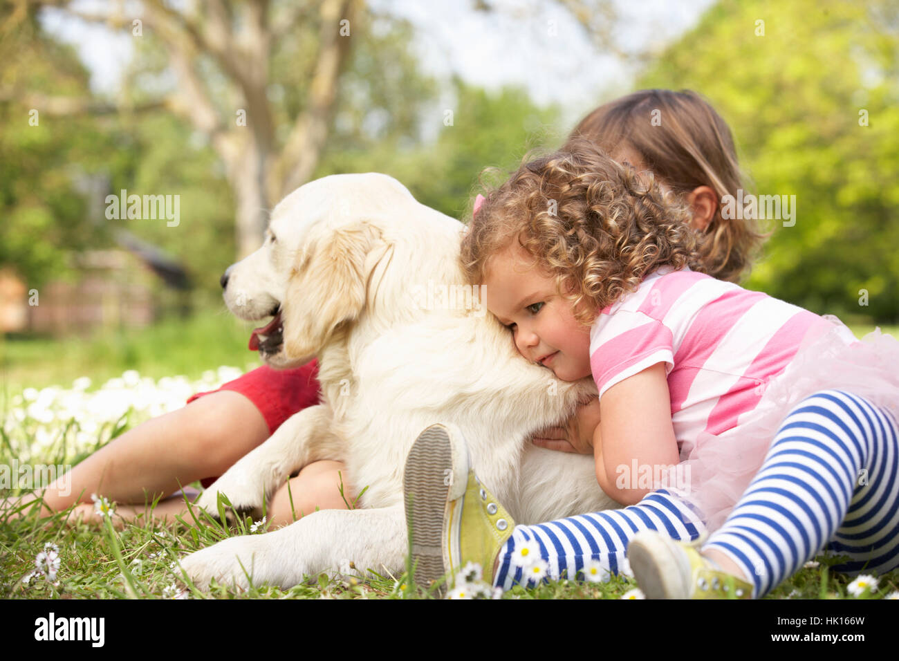 Two Children Petting Family Dog In Summer Field Stock Photo