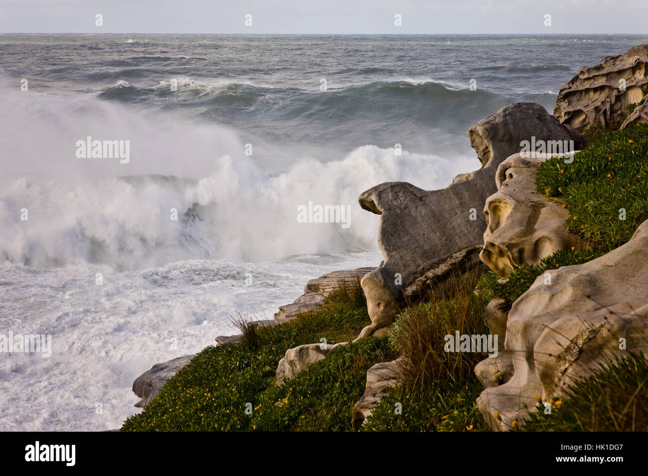beach, seaside, the beach, seashore, australia, coast, break, stone, wild, Stock Photo