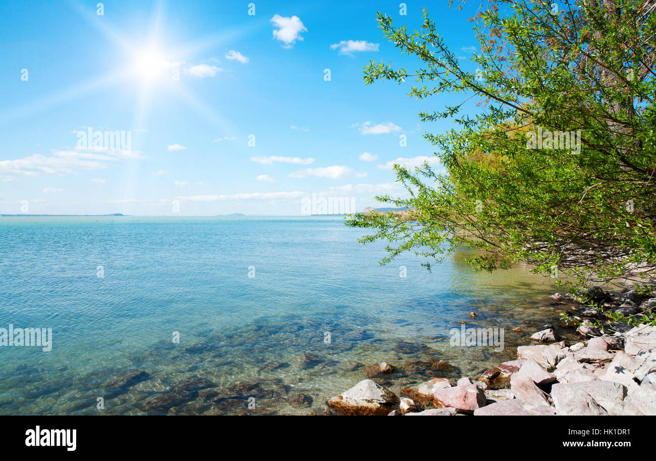 fauna, flora, spring, fresh water, lake, inland water, water, shine, shines, Stock Photo