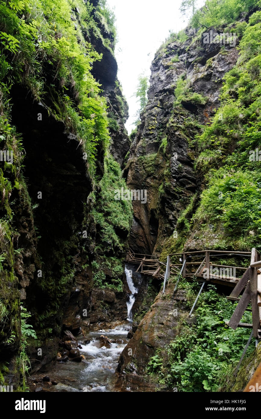 ravine, ice age, natural monument, stairs, monument, bridge, austrians, Stock Photo