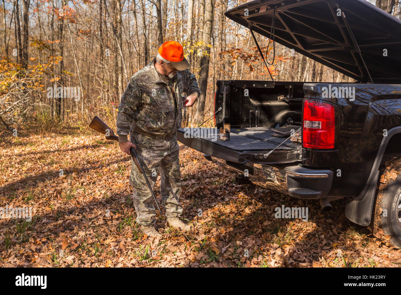 Ruffed grouse hunting in autumn Stock Photo Alamy
