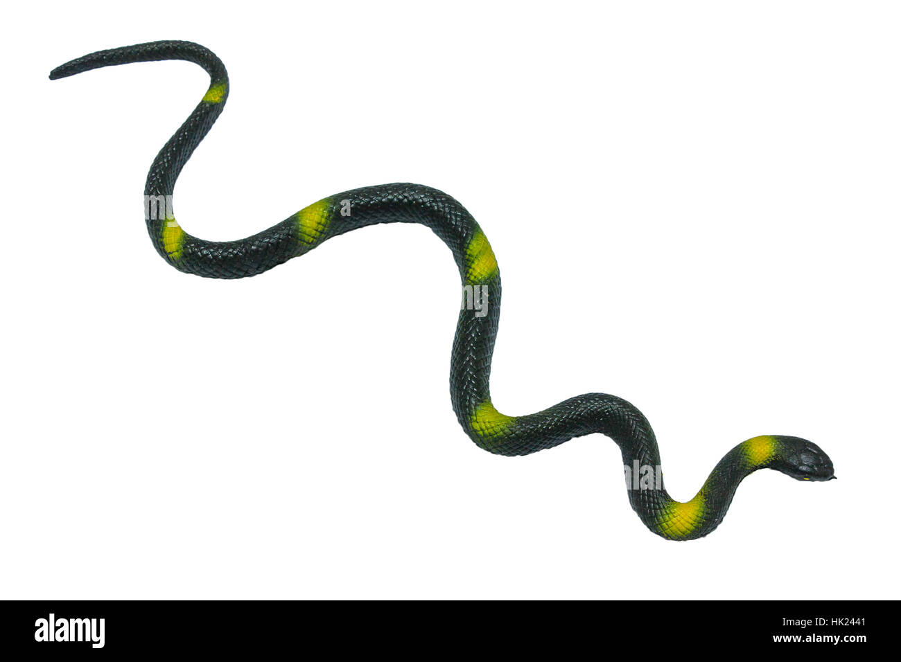 Black Yellow Strip Rubber Snake Stock Photo
