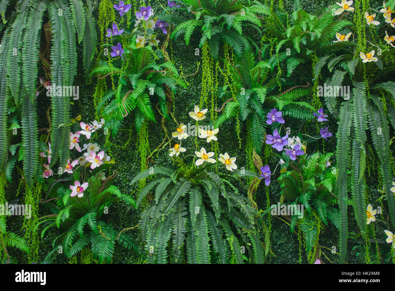 Green Fern Wall With Flower Background Stock Photo