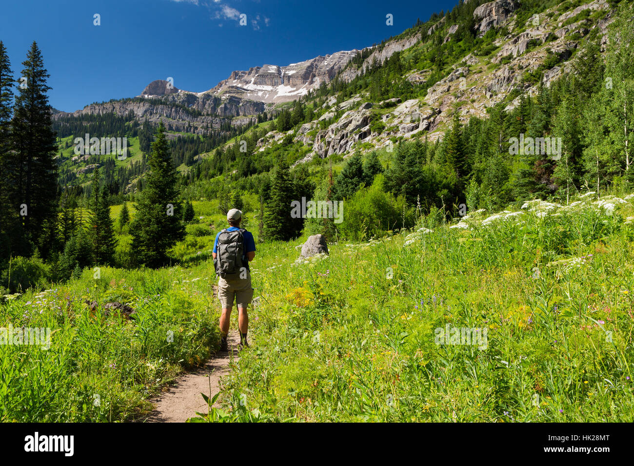 A hiker pausing along the Alaska Basin Trail in Teton Canyon below The