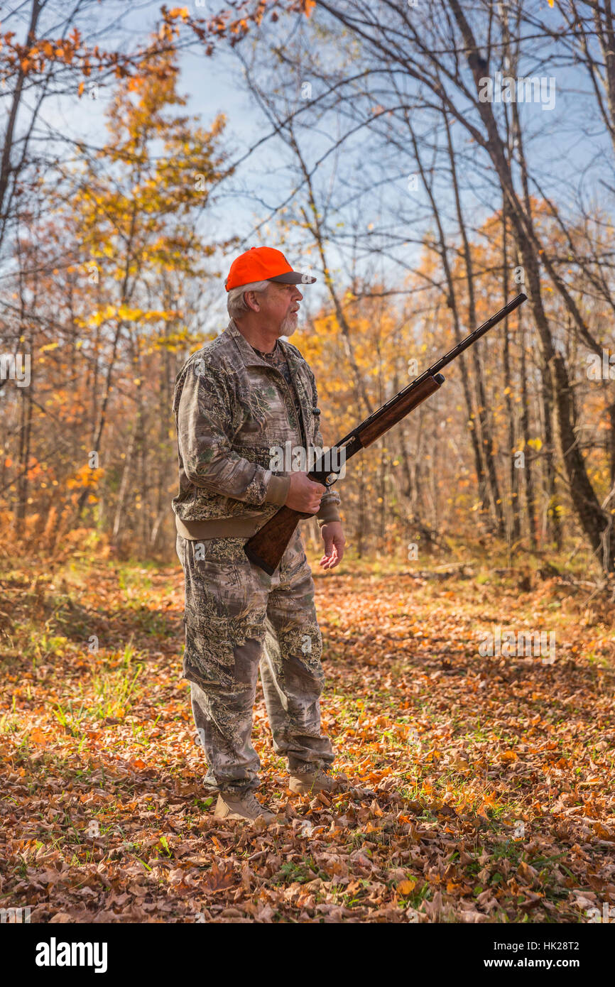 Ruffed Grouse Hunting In Autumn Stock Photo Alamy