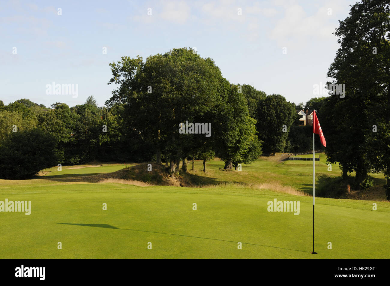 Fescue grass hires stock photography and images Alamy