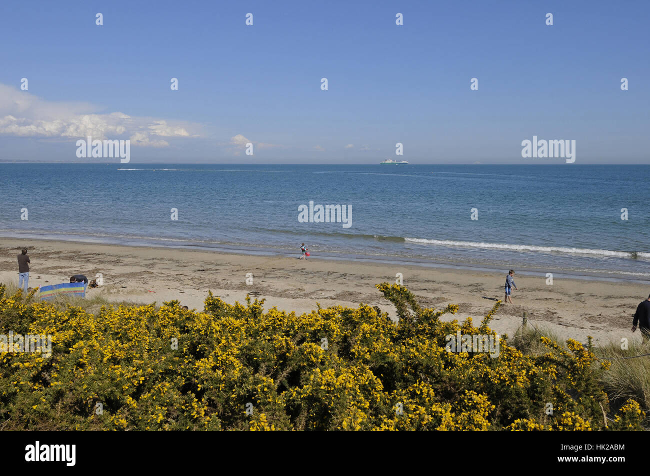 Knoll beach on Studland Bay, Isle of Purbeck Dorset England Stock Photo