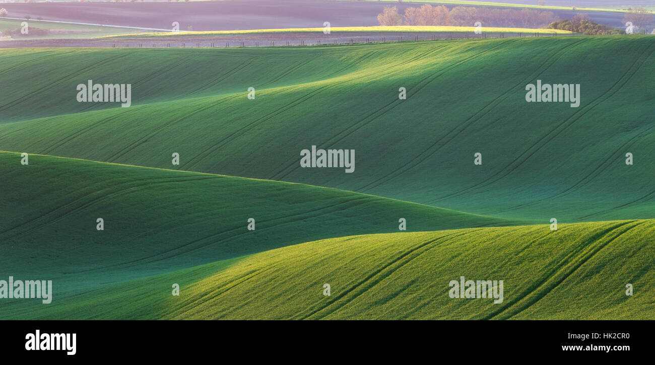 Green fields in the evening in South Moravia, Czech Republic. Waves hills with green grass, rolling fields. spring landscape Stock Photo