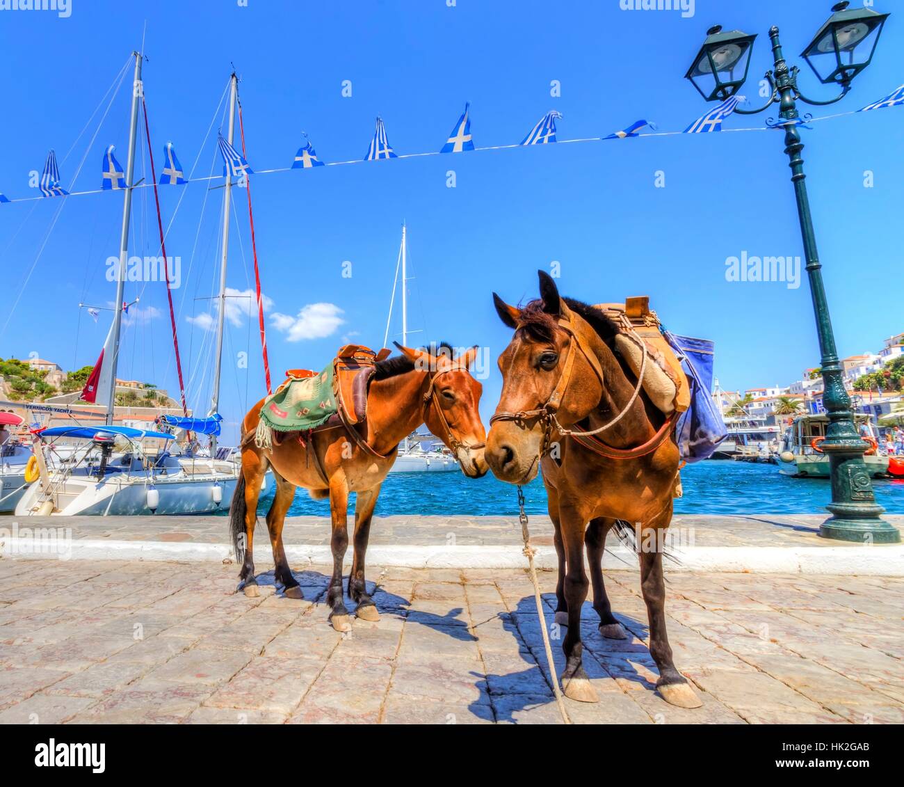 ride, greece, greek, donkey, port, island, hydra, isle, cafe, profile