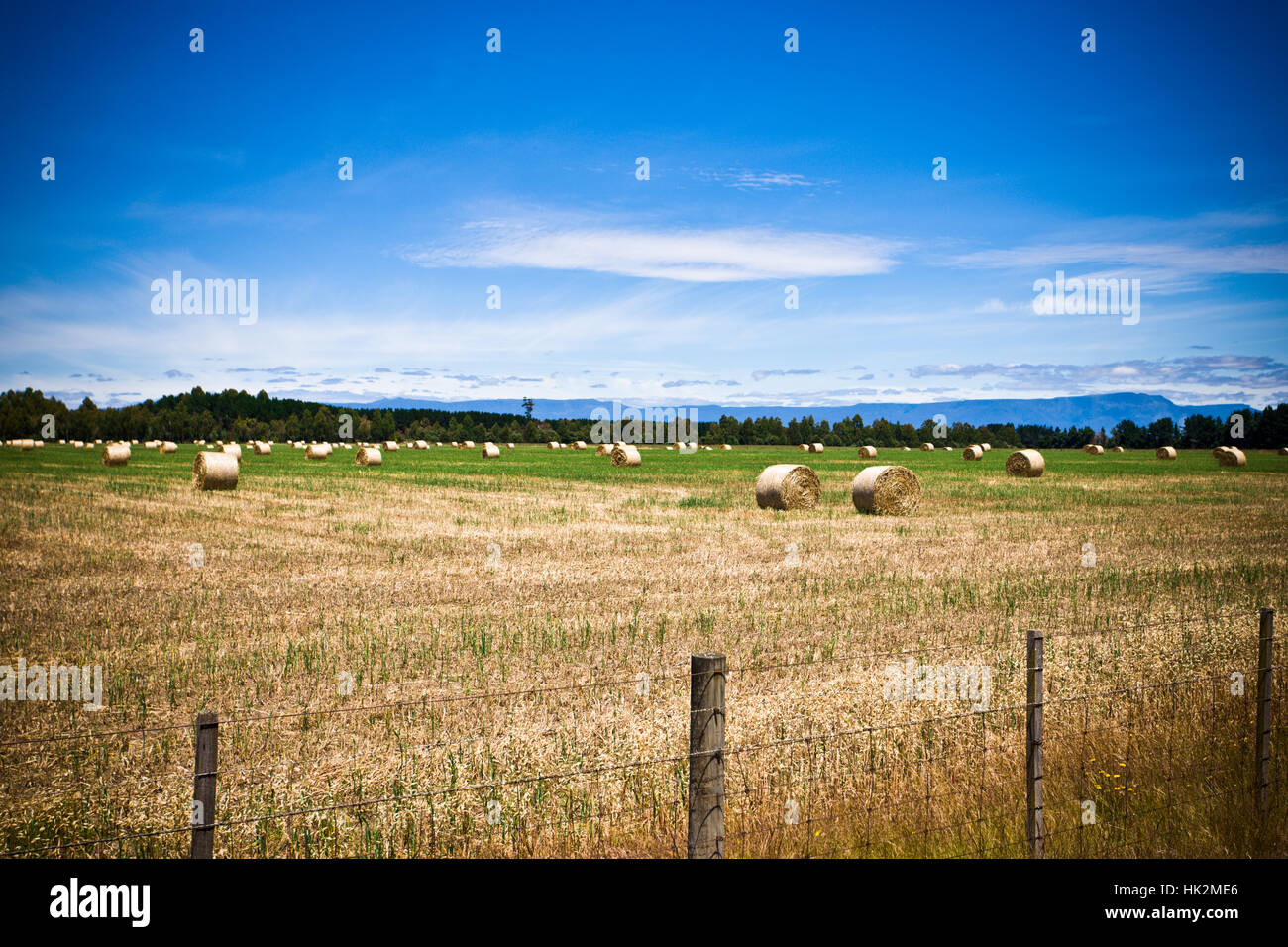 agriculture, farming, field, farm, barley, agriculture, farming, field, farm, Stock Photo