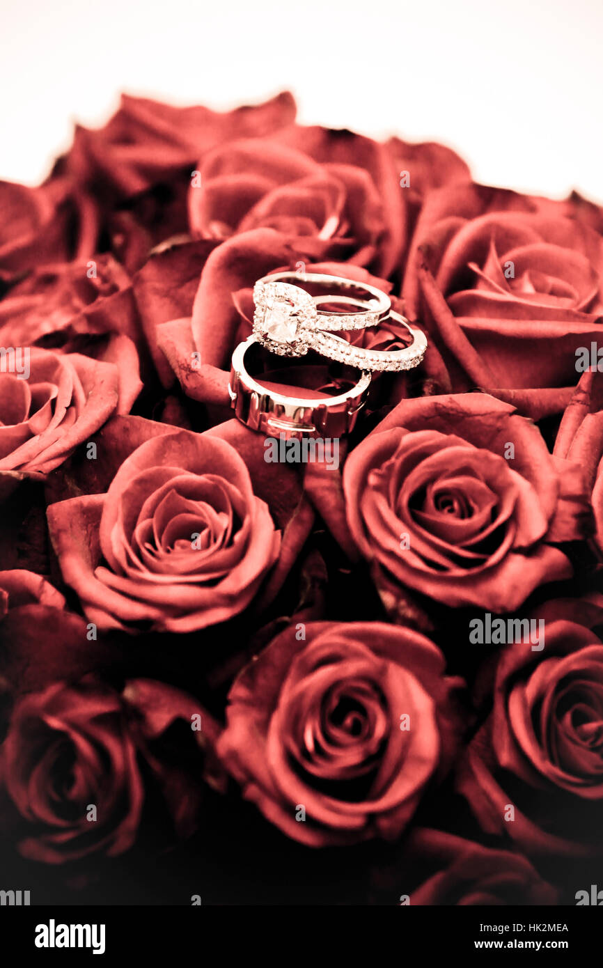 arrangement, beautiful, beauteously, nice, bouquet, arrangement, beautiful, Stock Photo