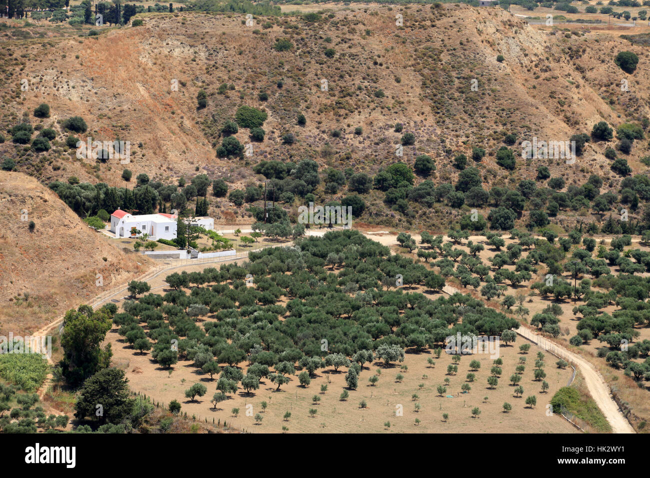 agriculture, farming, greece, environment, enviroment, tree ...