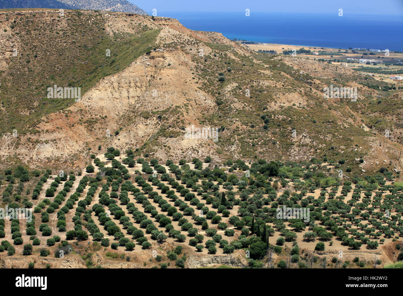 agriculture, farming, greece, environment, enviroment, tree ...