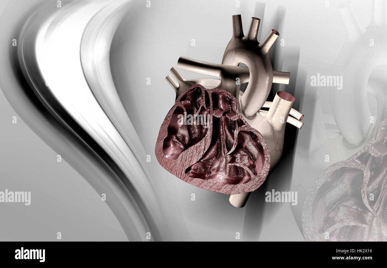 Circulation Graphics education, health, medicinally, medical, circulation, graphics, colour ...