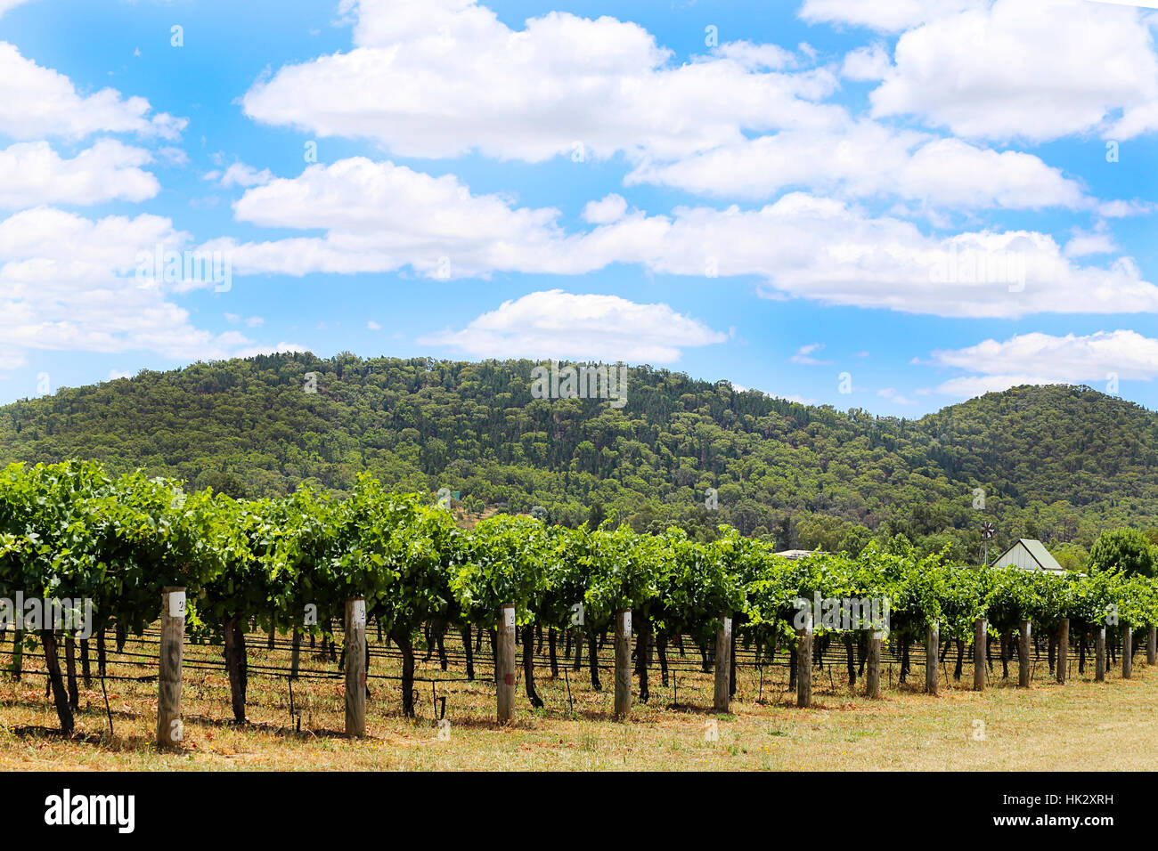 Mudgee hires stock photography and images Alamy