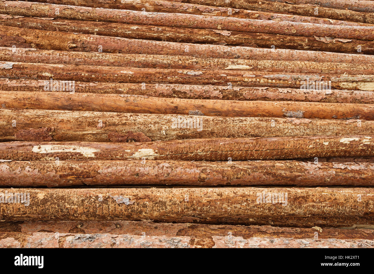 a pile of tree trunk logs as part of a lumber operation Stock Photo