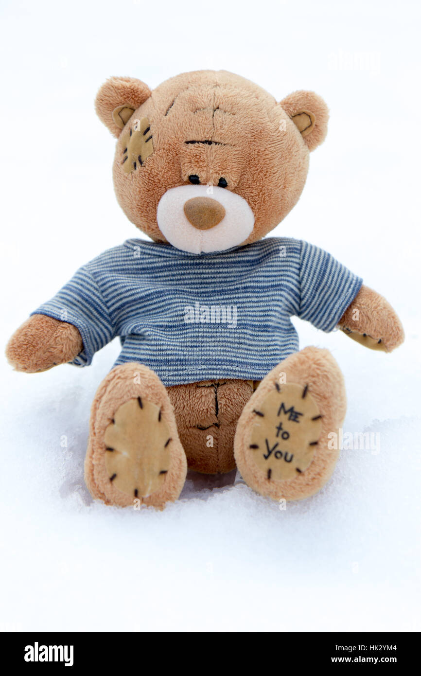 A cute brown teddy bear in snow with blue striped T-shirt and the words 'me to you' on its hind paw Stock Photo