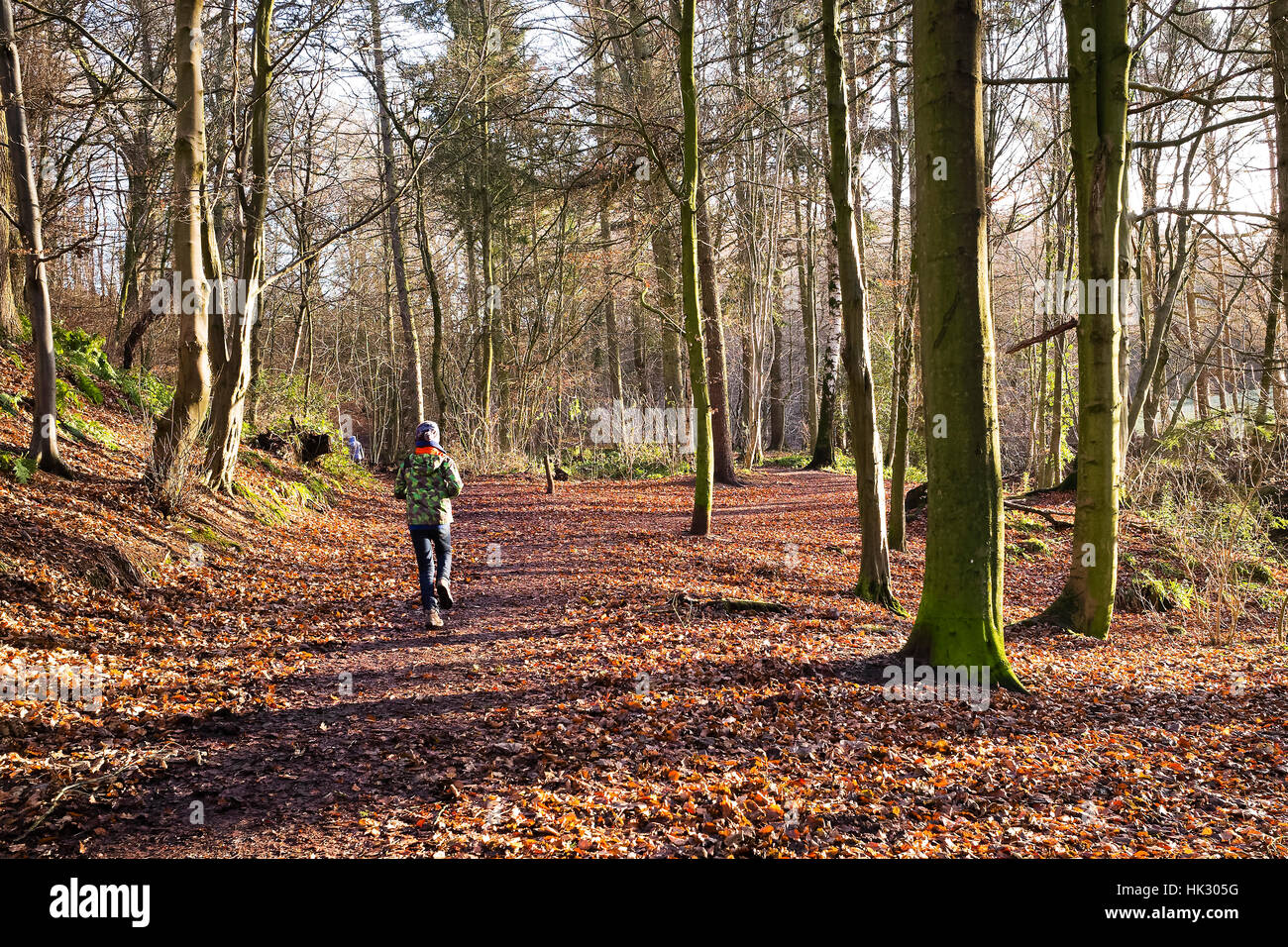 'Catching-up' on a Boxing Day walk in Gelt Woods, Brampton, Cumbria, England, UK Stock Photo
