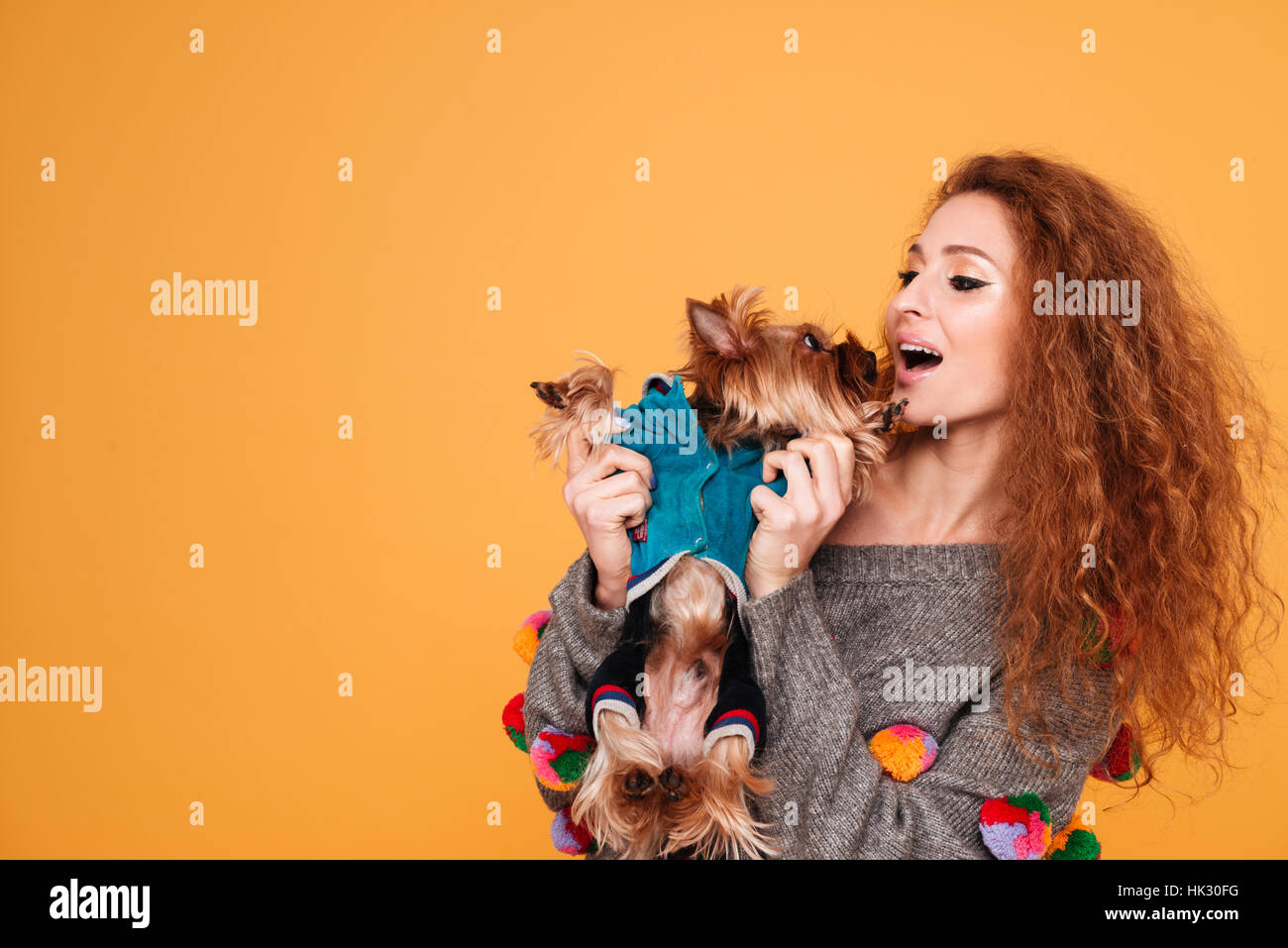 Happy red head woman playing with her yorkshire terrier isolated on orange background Stock Photo