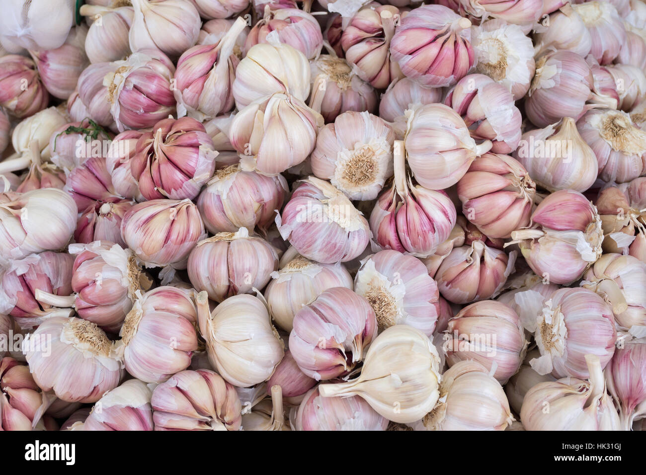 garlic bulbs for background use Stock Photo