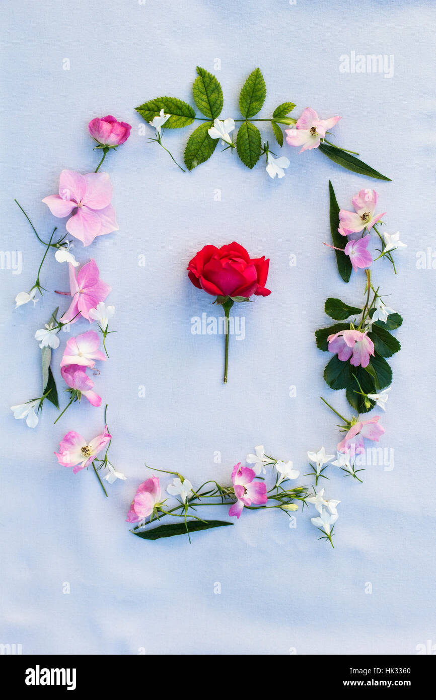 Spring Grey Background Beautiful Spring frame of flowers on gray background Stock Photo - Alamy