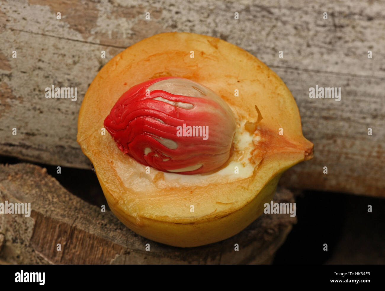 Nutmeg mace myristica fragrans seeds hi-res stock photography and ...