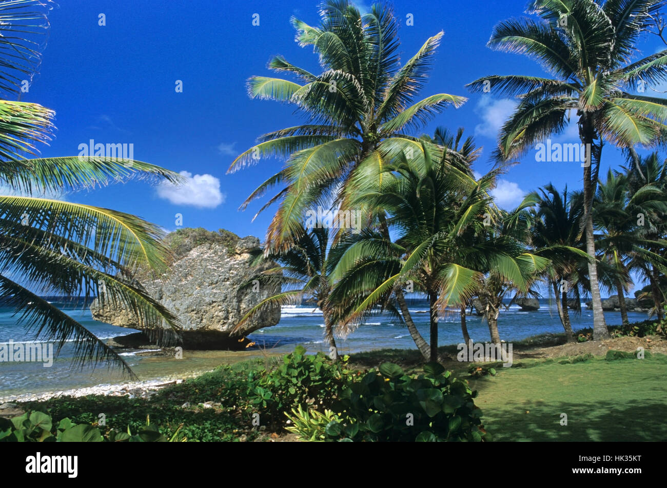 Stunning Bathsheba beach, Barbados, Caribbean Stock Photo