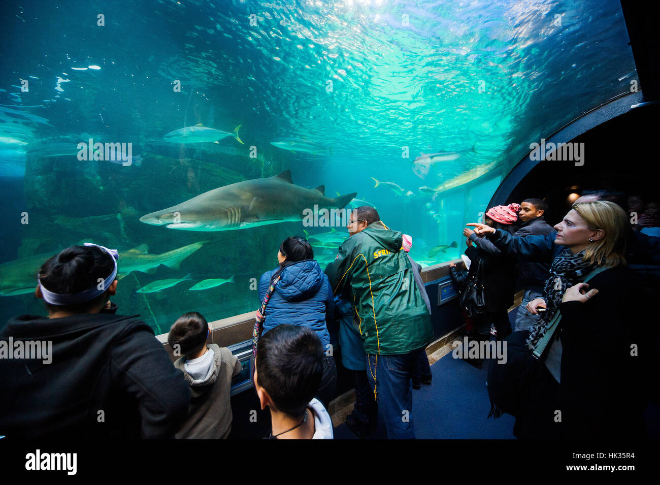 visitors-enjoying-views-on-a-exhibit-of-the-ocean-fauna-at-two-oceans