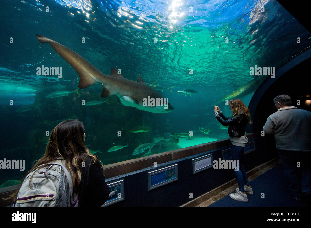 visitors-enjoying-views-on-a-exhibit-of-the-ocean-fauna-at-two-oceans