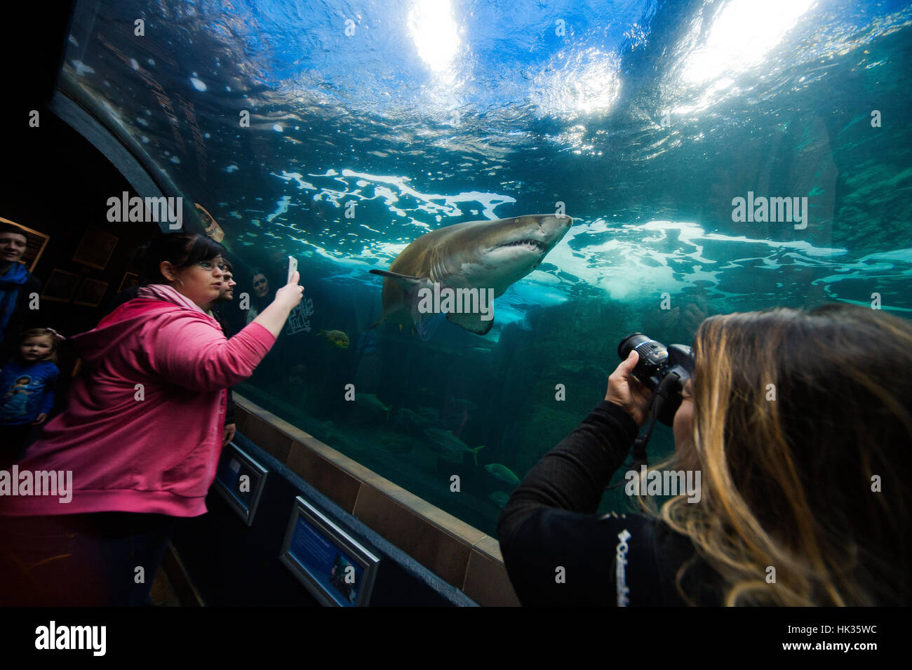 visitors-enjoying-views-on-a-exhibit-of-the-ocean-fauna-at-two-oceans