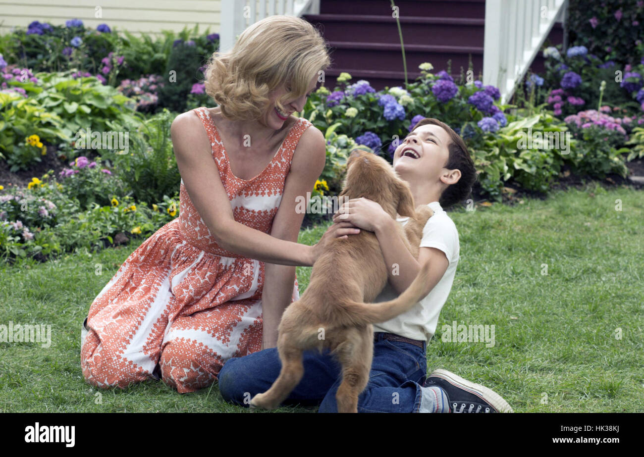 A Dog's Purpose is an upcoming American comedy-drama film directed by Lasse Hallström and written by W. Bruce Cameron, Cathryn Michon, Audrey Wells, Maya Forbes and Wallace Wolodarsky, based on the 2010 novel of the same name by Cameron. The film stars Britt Robertson, K. J. Apa, John Ortiz, Dennis Quaid and Josh Gad.  This photograph is for editorial use only and is the copyright of the film company and/or the photographer assigned by the film or production company and can only be reproduced by publications in conjunction with the promotion of the above Film. A Mandatory Credit to the film co Stock Photo