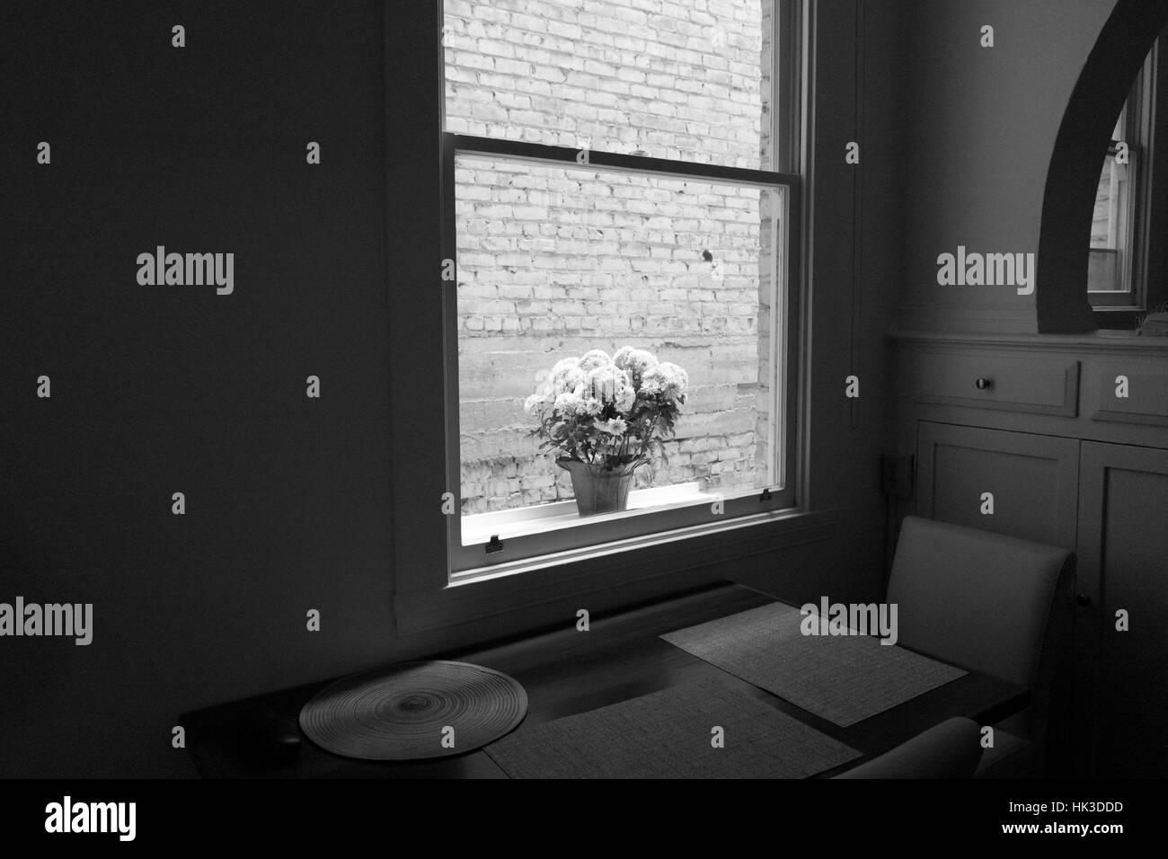 In a studio apartment in the Pacific Heights neighborhood of San Francisco, a lone potted plant sits on a window ledge facing the brick wall of an alleyway, San Francisco, California, 2016. Stock Photo