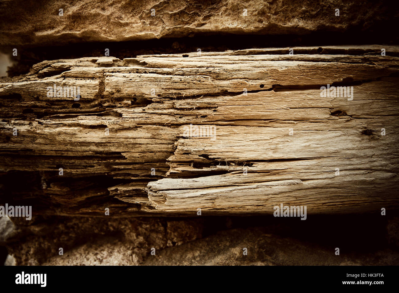 Dry, rotted tree old wood wall, as background Stock Photo
